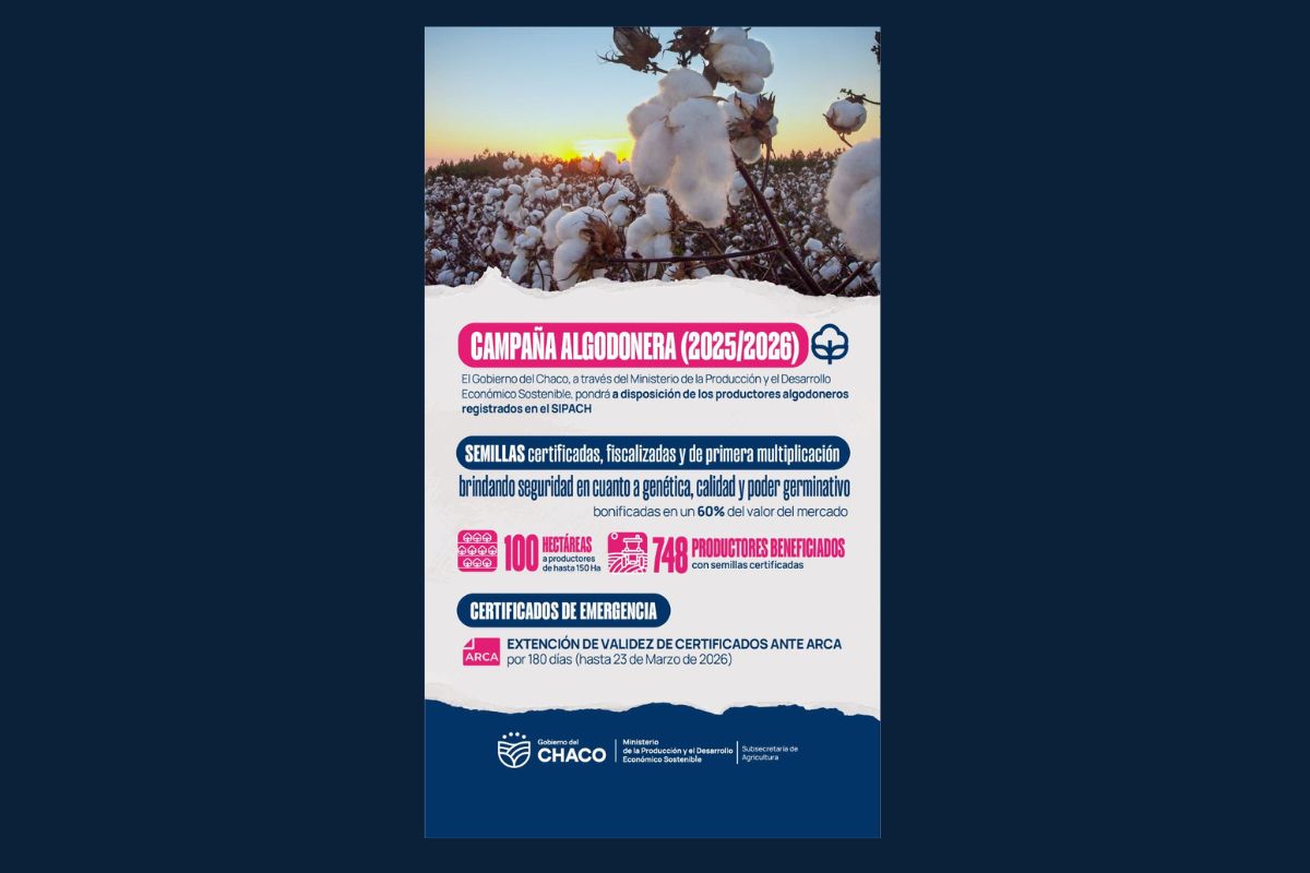 EL GOBIERNO DEL CHACO IMPULSA LA SIEMBRA ALGODONERA CON SEMILLAS BONIFICADAS Y CRÉDITOS ESPECIALES