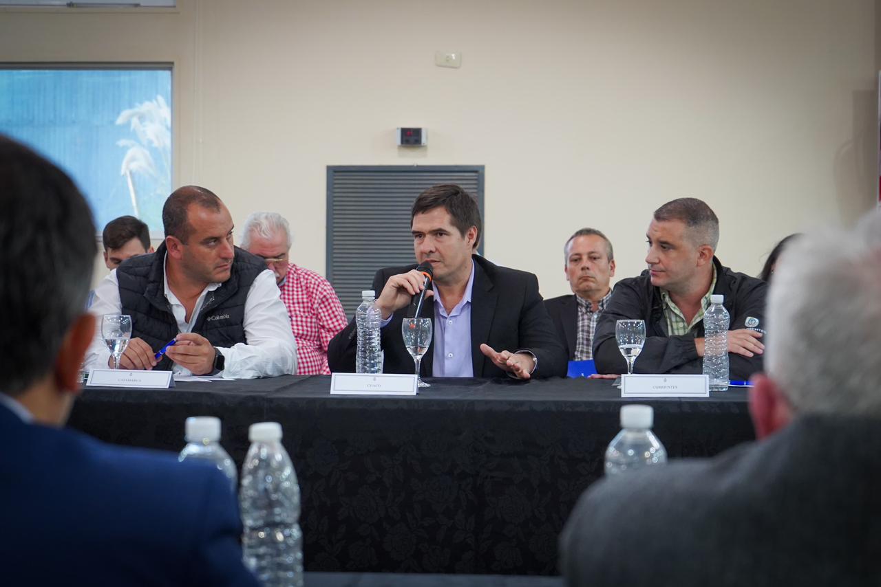 *CHACO SE UNE AL COMITÉ DE CRISIS JUNTO A OTRAS 11 PROVINCIAS EN LA LUCHA CONTRA EL VECTOR “LA CHICHARRITA