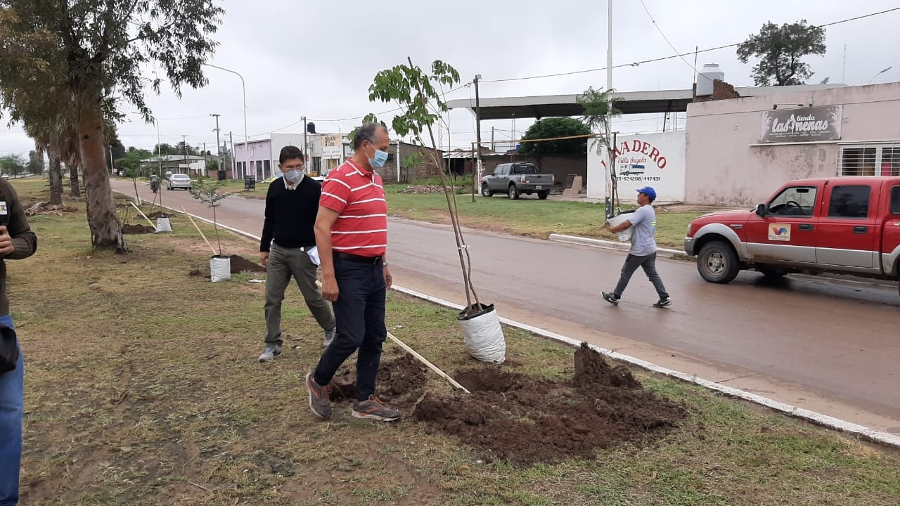 VILLA ANGELA. EL INTENDENTE PAPP SUPERVISÓ LA REFORESTACIÓN EN AVENIDAS