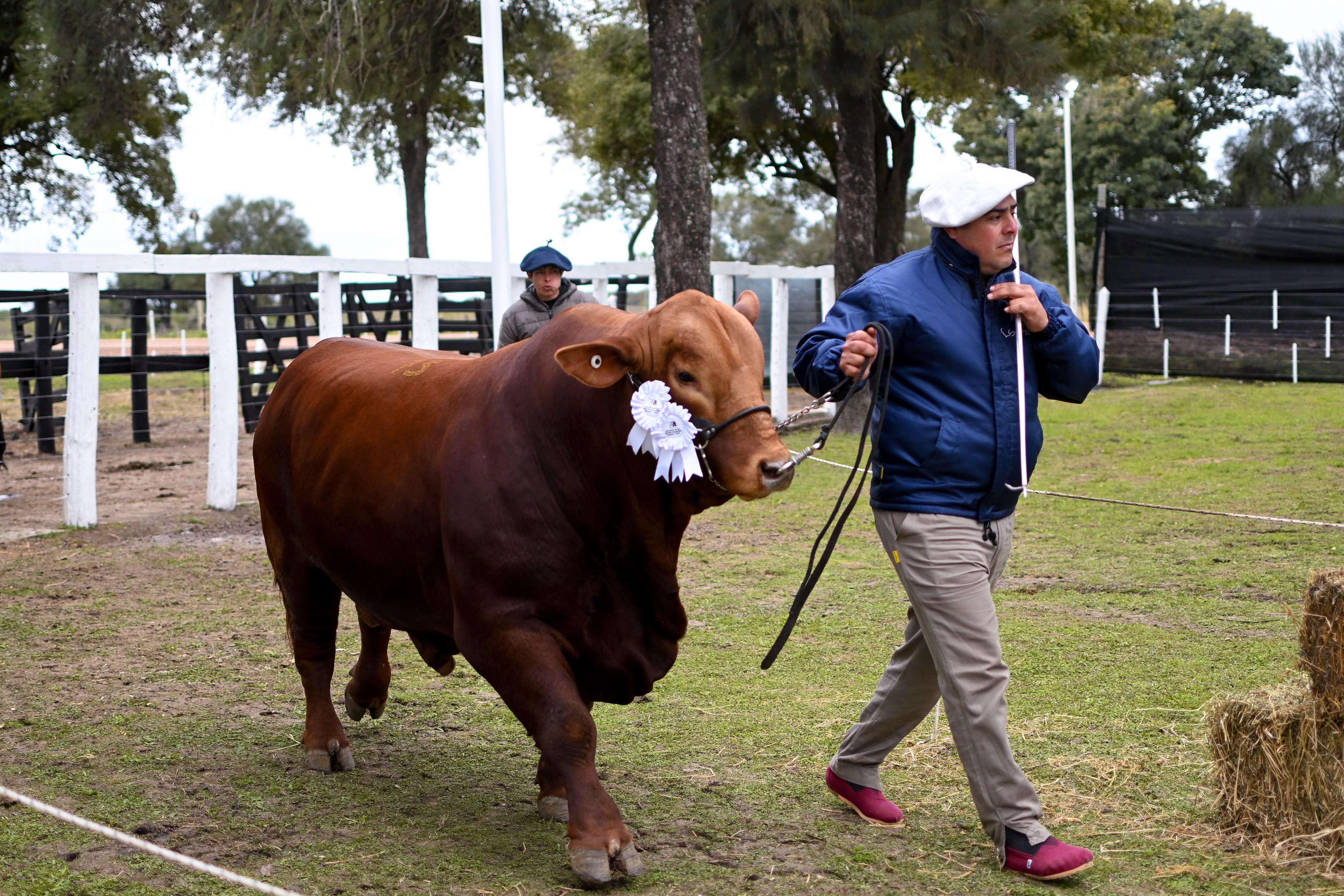 *81&ordf; EXPOSICI&Oacute;N GANADERA DE MACHAGAI: &ldquo;CUANDO AL CAMPO LE VA BIEN, LE VA BIEN AL CHACO Y AL PA&Iacute;S&rdquo; EXPRES&Oacute; ZDERO*