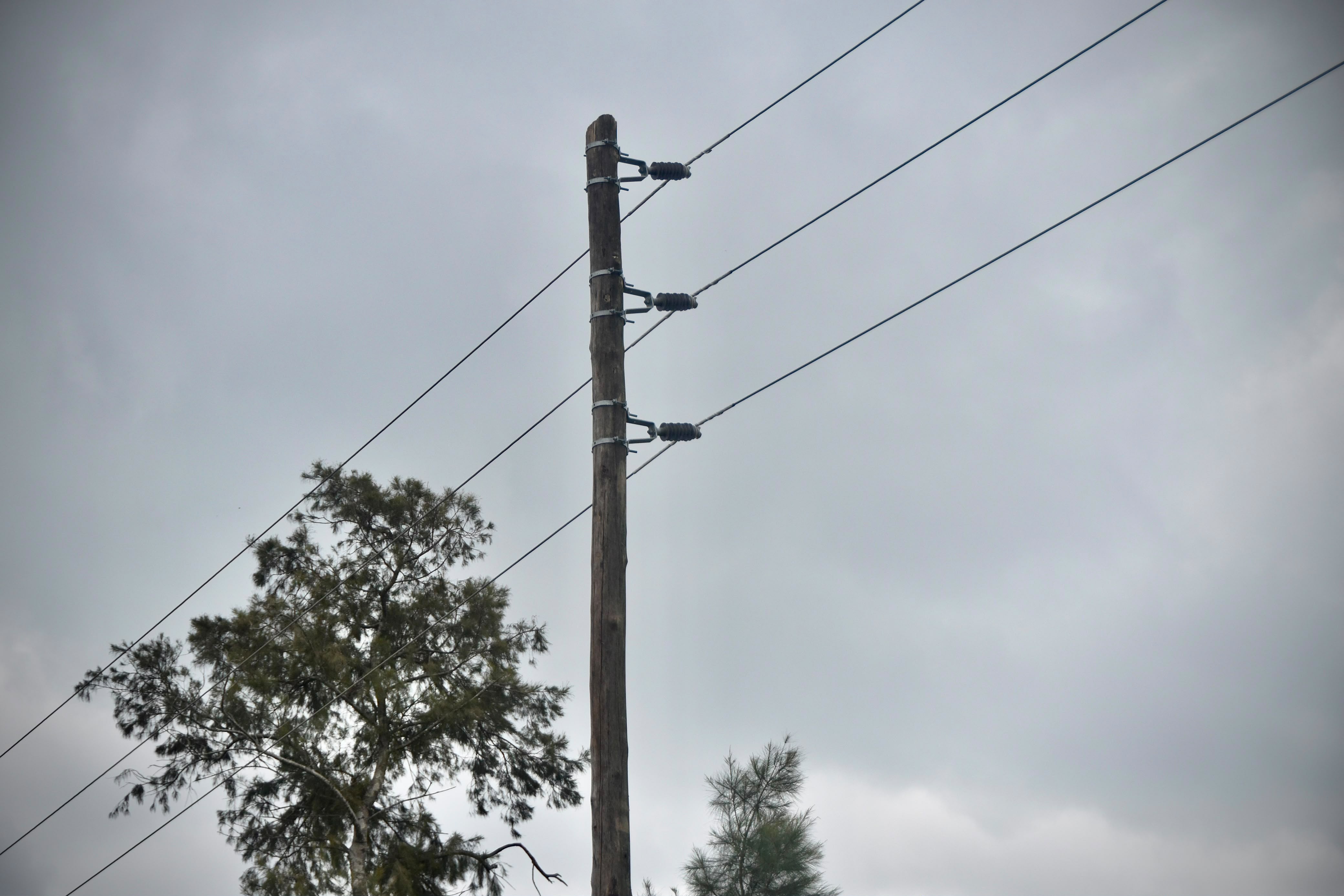 *SE FORTALECE EL SISTEMA EL&Eacute;CTRICO DEL SUDOESTE CHAQUE&Ntilde;O CON UNA NUEVA L&Iacute;NEA DE MEDIA TENSI&Oacute;N*