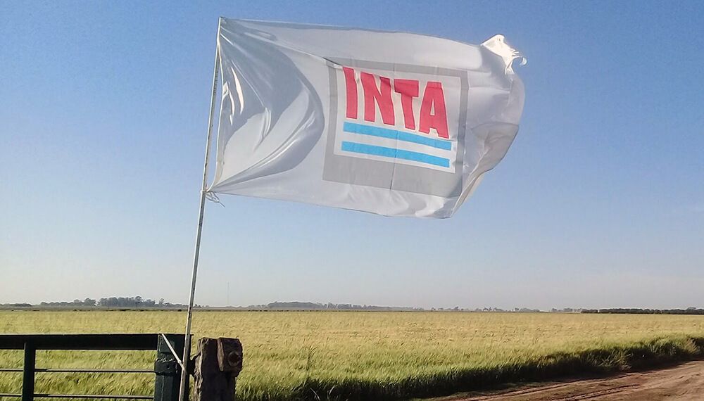 *EL INTA RESPALDÓ EL PROCESO DE ACTUALIZACIÓN DEL OTBN*