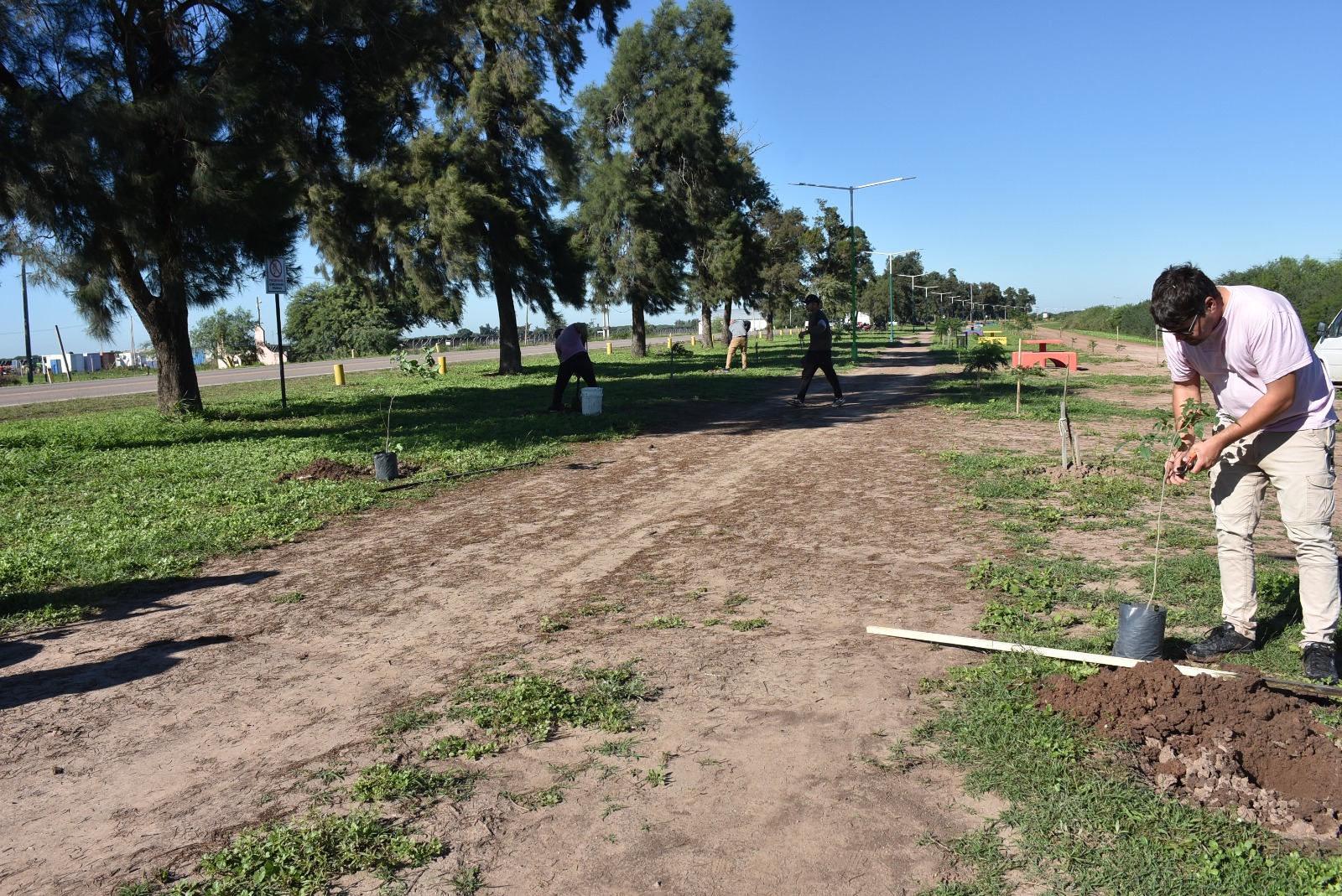LA MUNICIPALIDAD REALIZA TRABAJOS DE REPOSICIÓN Y MANTENIMIENTO DE PLANTAS EN EL ACCESO NORTE