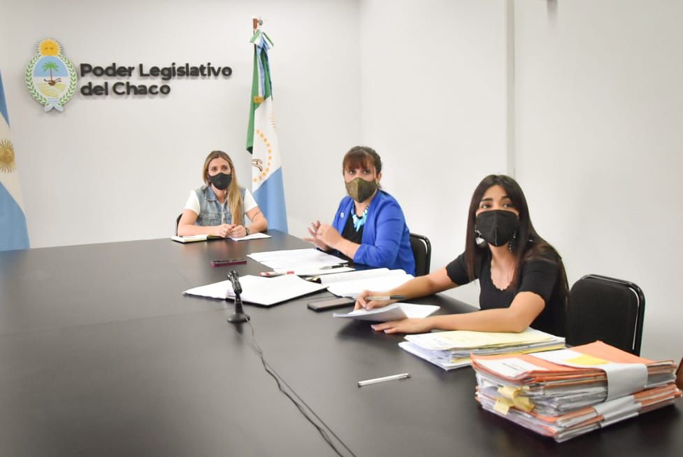 El proyecto de creación del Observatorio Provincial contra  las Violencias de Género tuvo dictamen favorable unánime