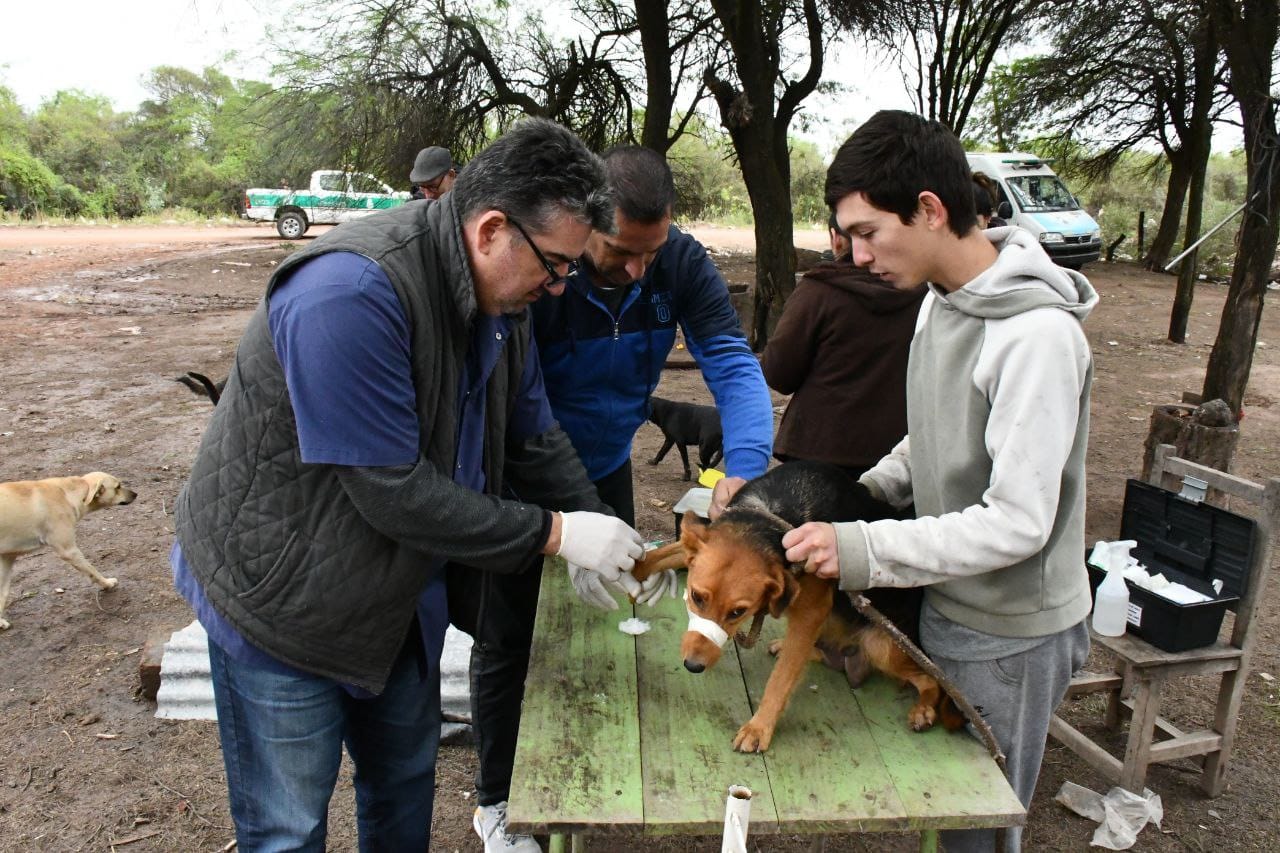 SÁENZ PEÑA: OPERATIVO DE ZOONOSIS EN EL BARRIO MATADERO POR UN CASO DE LEISHMANIASIS VISCERAL