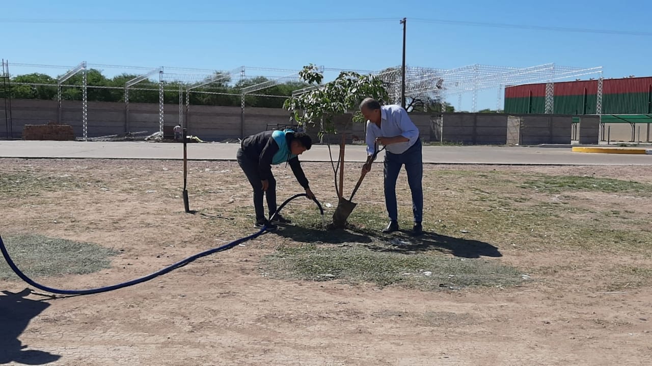 VILLA ANGELA: EL MUNICIPIO CONTINÚA CON LA REFORESTACIÓN