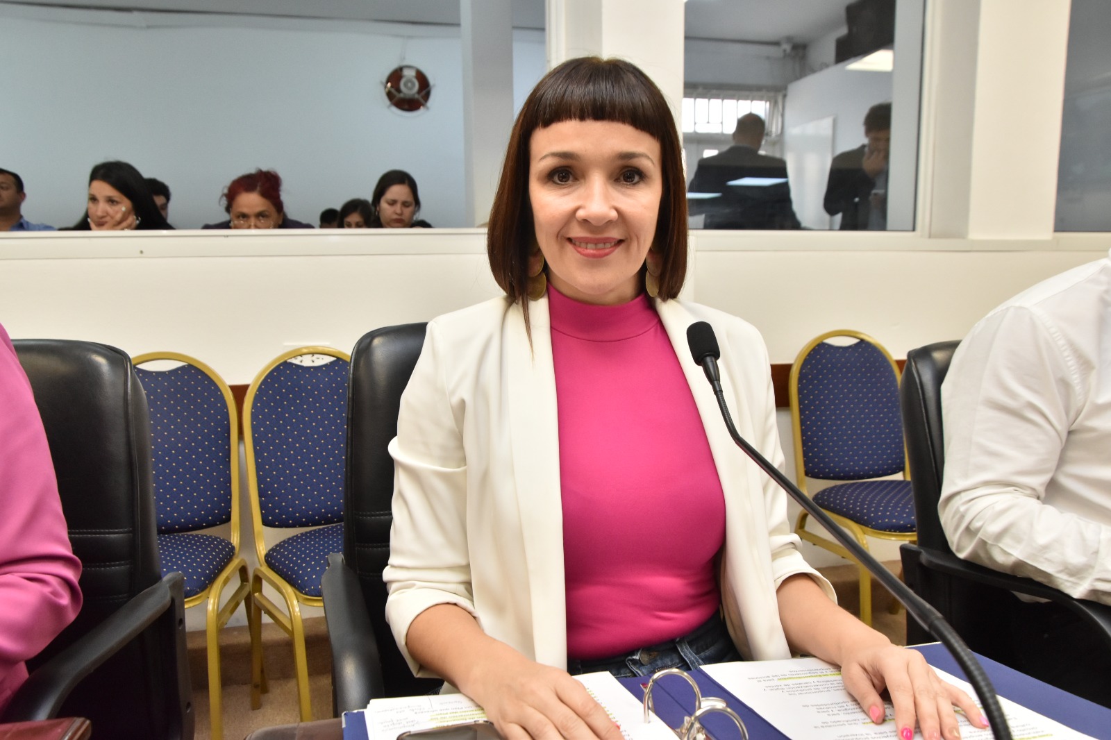 *La Legislatura aprobó la Ley de Fomento para emprendedoras y emprendedores chaqueños*
