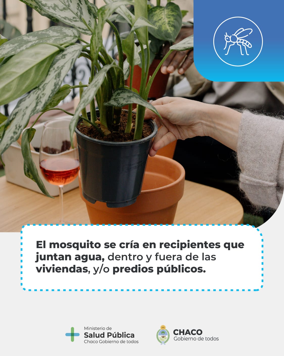 *CHIKUNGUNYA: SE ENCUENTRA ACTIVO EL SISTEMA  PROVINCIAL DE VIGILANCIA PARA  EVITAR LA PROPAGACIÓN*