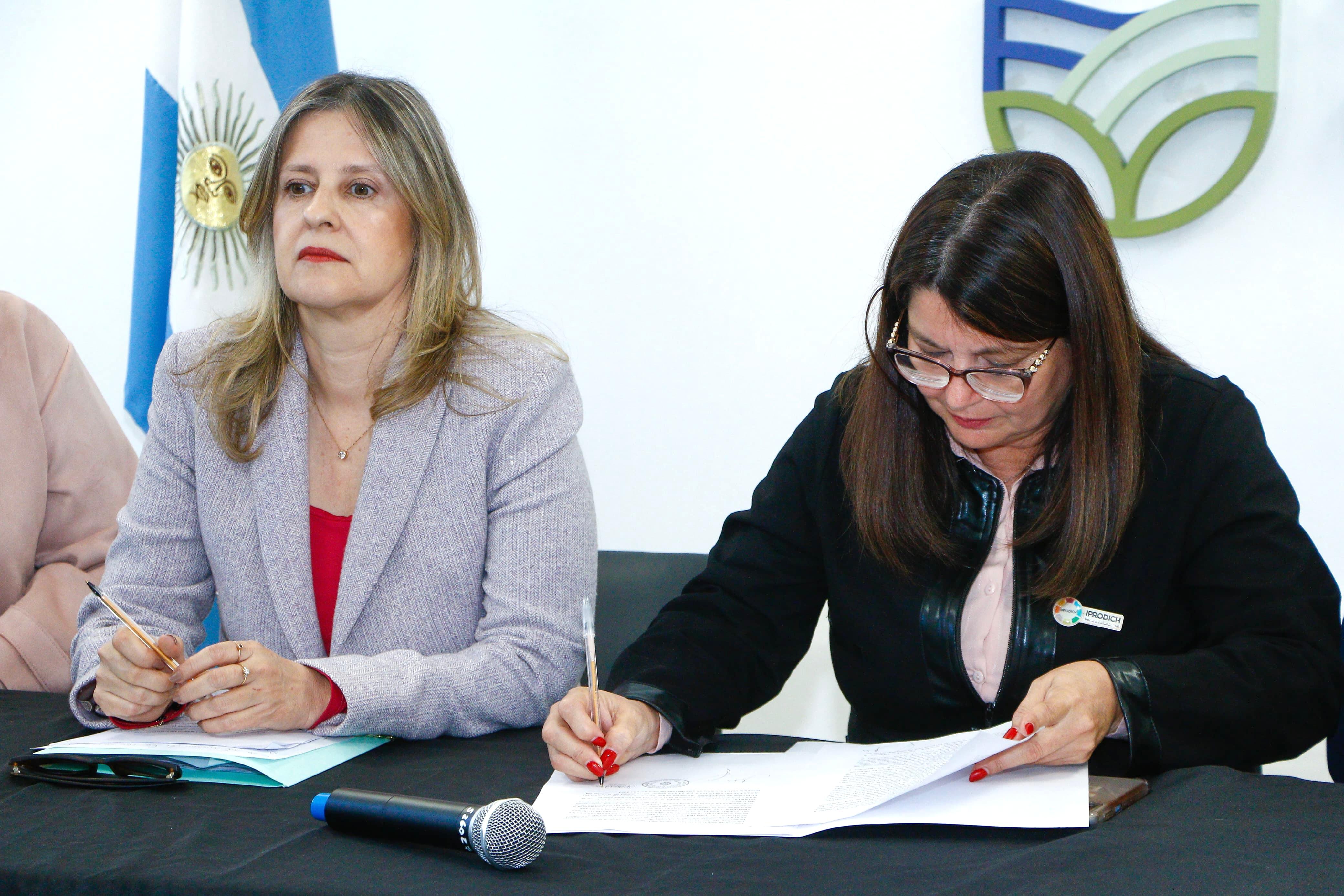 *FIRMARON UN CONVENIO PARA CAPACITAR A LAS FUERZAS DE SEGURIDAD EN DERECHOS DE LAS PERSONAS CON